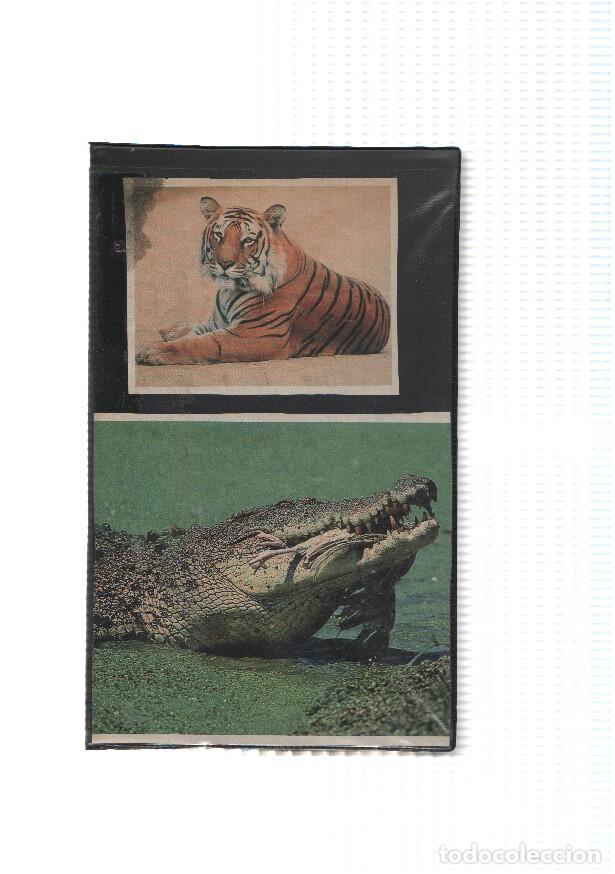 Coleccionismo de Revistas y Peri&oacute;dicos: VHS-Cine: LOS MEJORES DOCUMENTALES DE WALT DISNEY y Reportage de DISNEYLAND PARIS - VARIOS