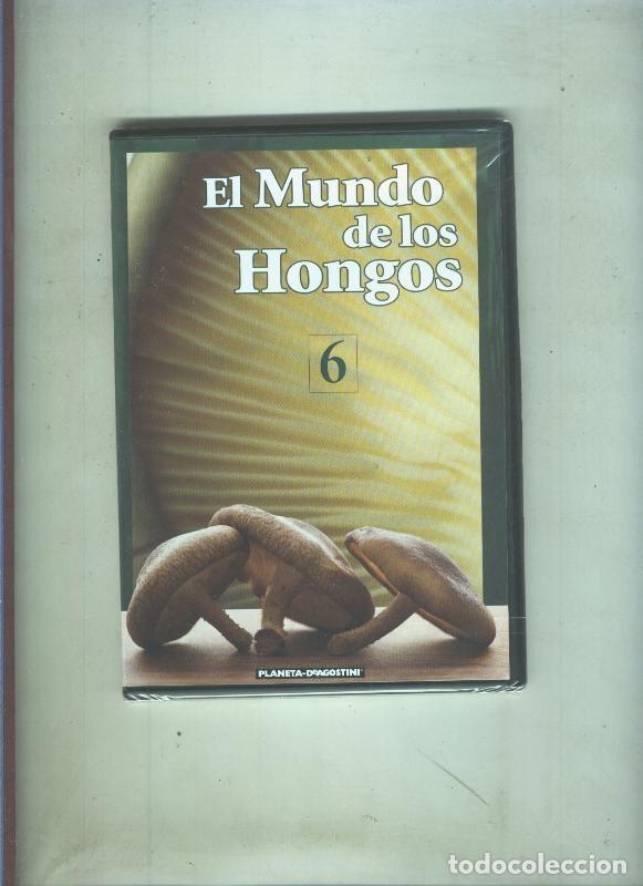 Collectionnisme de Revues et Journaux: DVD: El mundo de las setas-El mundo de los hongos numero 6 - Varios