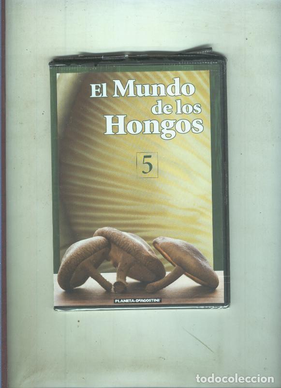 Collection Magazines and Newspapers: DVD: El mundo de las setas-El mundo de los hongos numero 5 - Varios