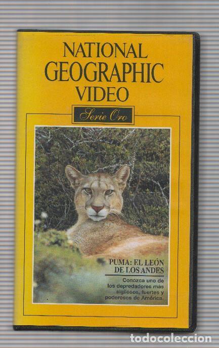 Collectionnisme de Revues et Journaux: Pelicula VHS: NATIONAL GEOGRAPHIC, Serie Oro - Numero 03: Puma: El Leon de los Andes - National Geog