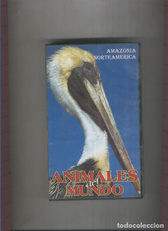 Colecionismo de Revistas e Jornais: Video VHS: Animales del Mundo: Amazonia y Norteamerica - Varios