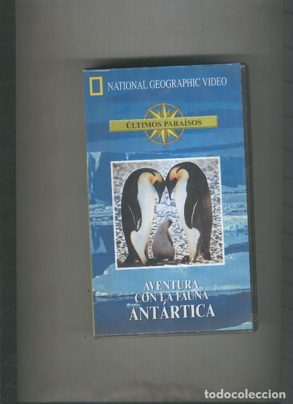 Collezionismo di Riviste e Giornali: Video VHS: Ultimos paraisos: Aventura con la fauna antartica - varios
