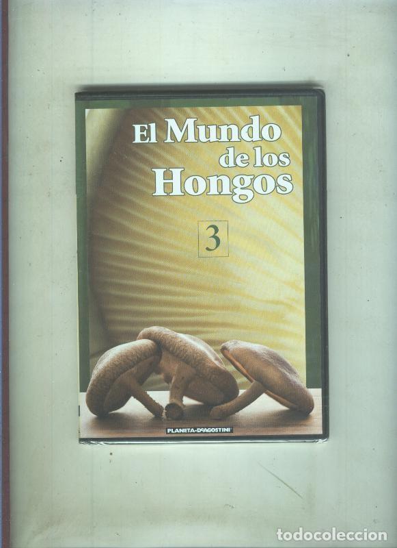 Collection Magazines and Newspapers: DVD: El mundo de las setas-El mundo de los hongos numero 3 - Varios