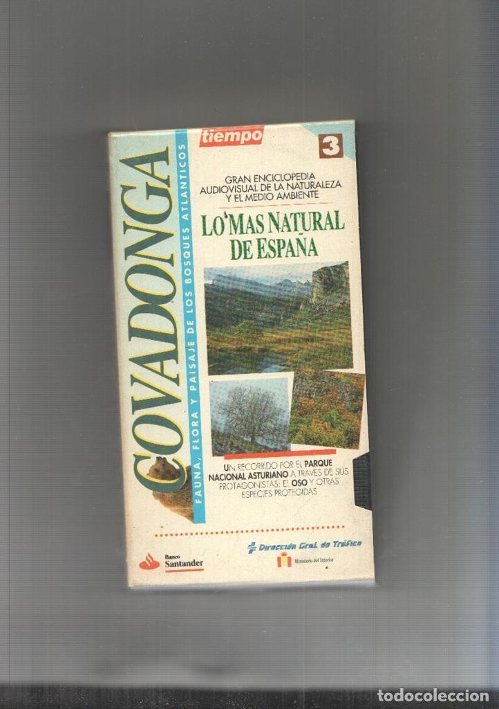 Collectionnisme de Revues et Journaux: Video Vhs: Lo mas natural de Espa&ntilde;a: Covadonga - Varios