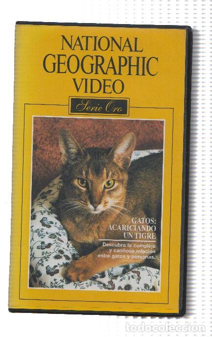 Colecionismo de Revistas e Jornais: Pelicula VHS: NATIONAL GEOGRAPHIC, Serie Oro - Numero 10: Gatos: Acariciando un tigre - National Geo