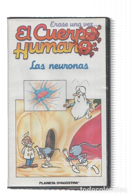 Collection Magazines and Newspapers: Serie VHS: Erase una vez EL CUERPO HUMANO, Numero 14: LAS NEURONAS - Procidis