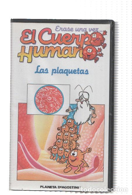 Coleccionismo de Revistas y Peri&oacute;dicos: Serie VHS: Erase una vez EL CUERPO HUMANO, Numero 26: LAS PLAQUETAS - Procidis