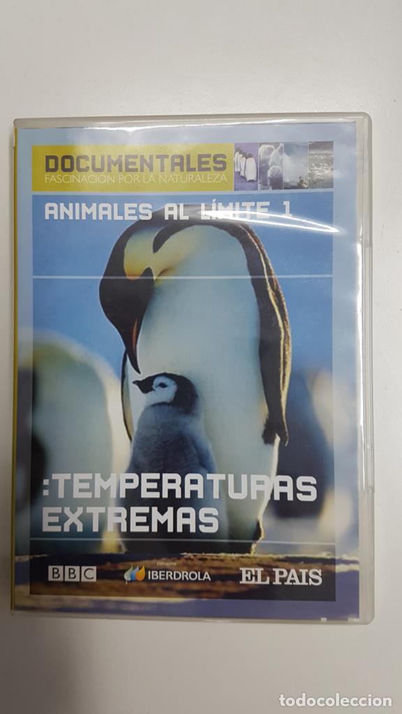Coleccionismo de Revistas y Peri&oacute;dicos: DVD Documental: Animales al Limite 1, Temperaturas Extremas - Varios