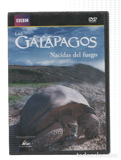 Collection Magazines and Newspapers: DVD-Documental: BBC - LAS GALAPAGOS: Nacidas del Fuego - BBC