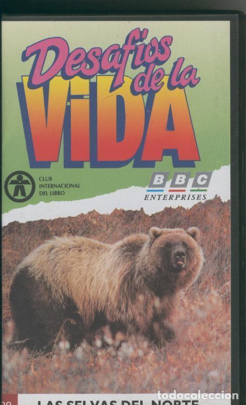 Colecionismo de Revistas e Jornais: Video VHS: Desafios de la vida numero 28: Las selvas del norte - Varios
