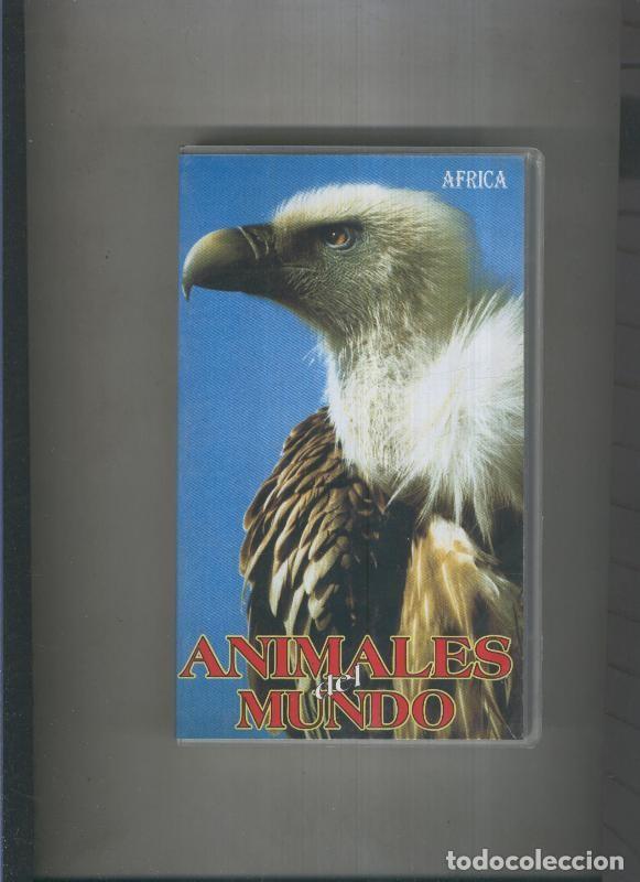 Coleccionismo de Revistas y Peri&oacute;dicos: Video VHS: Animales del mundo: Africa - Varios
