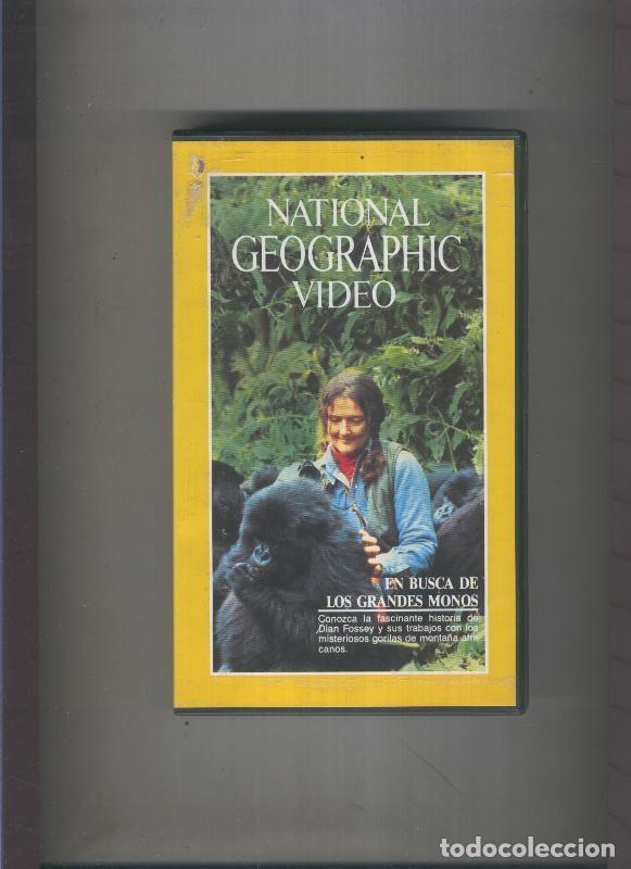 Coleccionismo de Revistas y Peri&oacute;dicos: Video VHS: National Geographic video: en busca de los grandes monos - Varios
