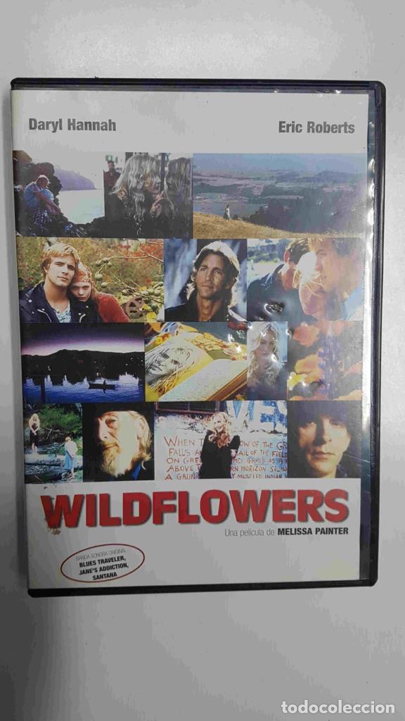 Sammeln von Zeitschriften und Zeitungen: DVD pelicula: Wildflowers. Una pelicula de Melissa Painter - Varios