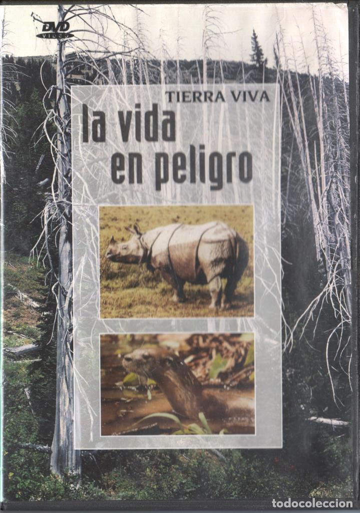 Collectionnisme de Revues et Journaux: DVD: Tierra viva - La vida en peligro - Varios
