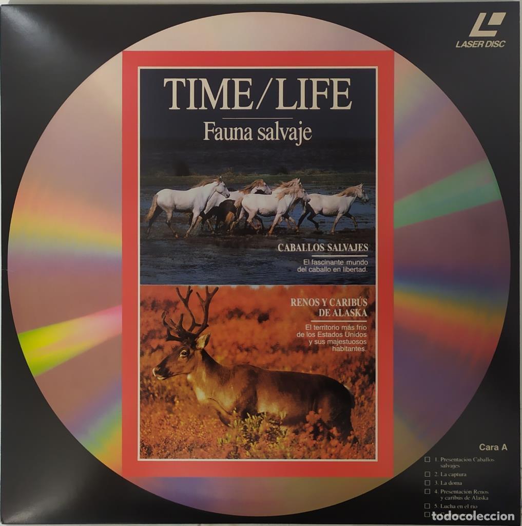 Collectionnisme de Revues et Journaux: Laser Disc: Time/Life 11 - Fauna Salvaje - Time
