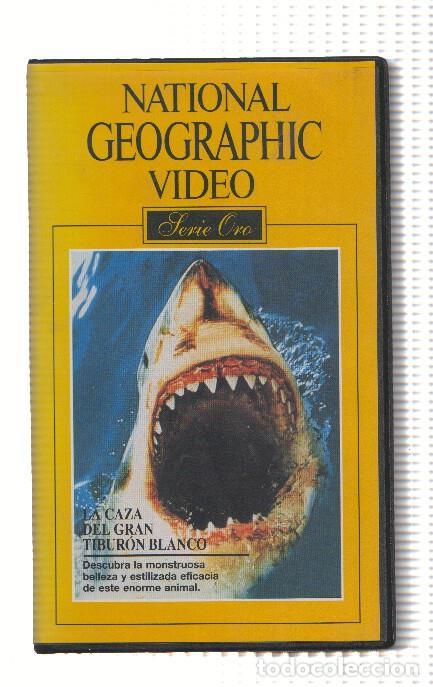 Collectionnisme de Revues et Journaux: Pelicula VHS: NATIONAL GEOGRAPHIC - Serie Oro, Numero 28: La Caza del Gran Tiburon Blanco - National