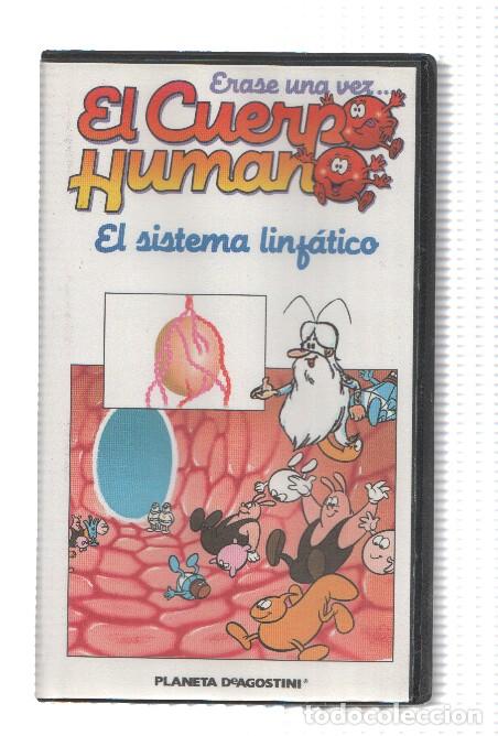 Collection Magazines and Newspapers: Serie VHS: Erase una vez EL CUERPO HUMANO, Numero 22: EL SISTEMA LINFATICO - Procidis