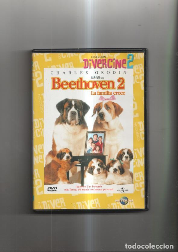 Collezionismo di Riviste e Giornali: Pelicula en DVD: Beethoven 2, la familia crece - NULL