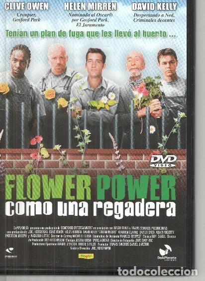 Coleccionismo de Revistas y Peri&oacute;dicos: DVD: Flower Power: como una regadera (Cliven Owen, Helen Mirren)