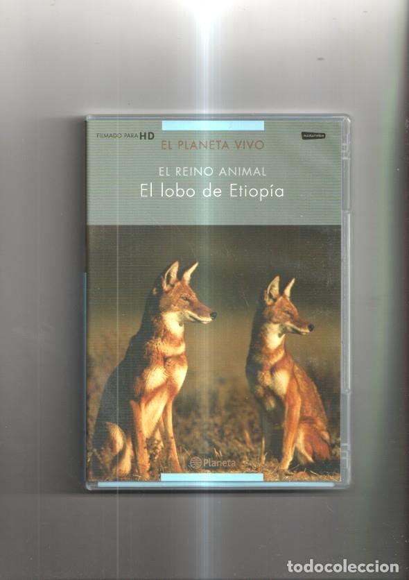 Coleccionismo de Revistas y Peri&oacute;dicos: Documental en DVD: El planeta vivo - El reino animal, El lobo de Etiopia - NULL