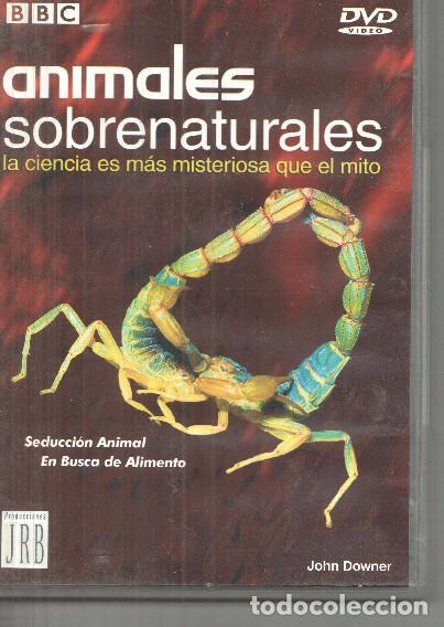 Collection Magazines and Newspapers: DVD: Seduccion animal, en busca de alimento, serie Animales sobrenaturales, la ciencia es mas mister