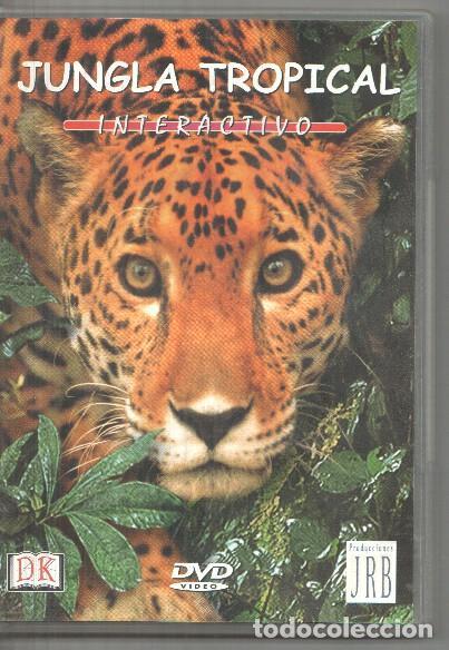 Colecionismo de Revistas e Jornais: DVD: Jungla Tropical: Interactivo