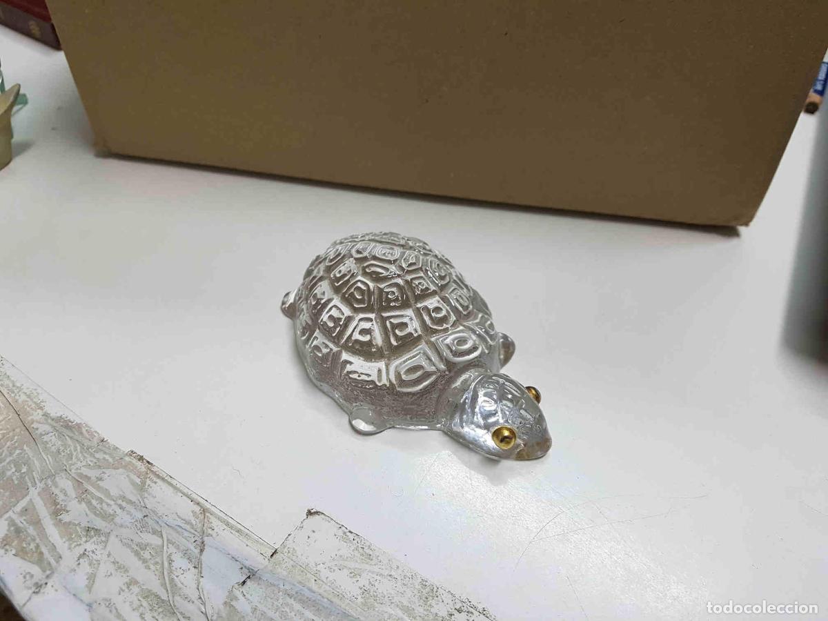 Collectionnisme de Revues et Journaux: Figura, tortuga de cristal