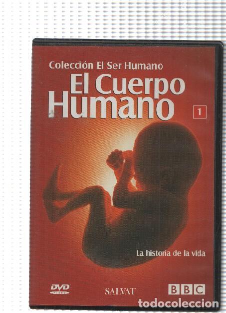 Colecionismo de Revistas e Jornais: Salvat-BBC: DVD 01 Coleccion el Ser humano, El cuerpo humano - La historia de la vida