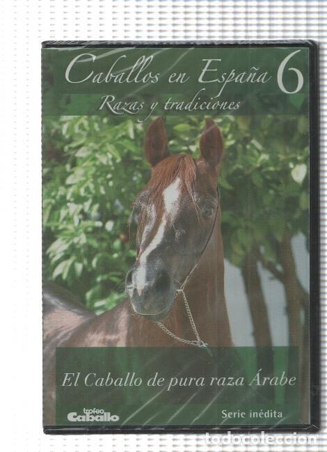 Colecionismo de Revistas e Jornais: DVD, serie inedita: Caballos en Espa&ntilde;a num 6 - Razas y tradiciones. El Caballo de pura raza Arabe -