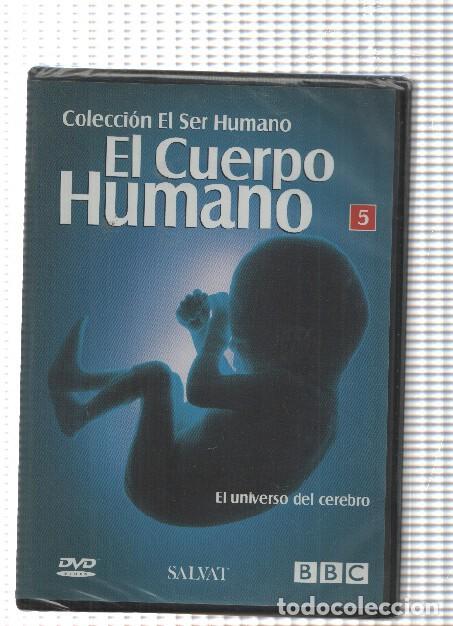 Collezionismo di Riviste e Giornali: Salvat-BBC: DVD 05 Coleccion el Ser humano, El cuerpo humano - El universo del cerebro