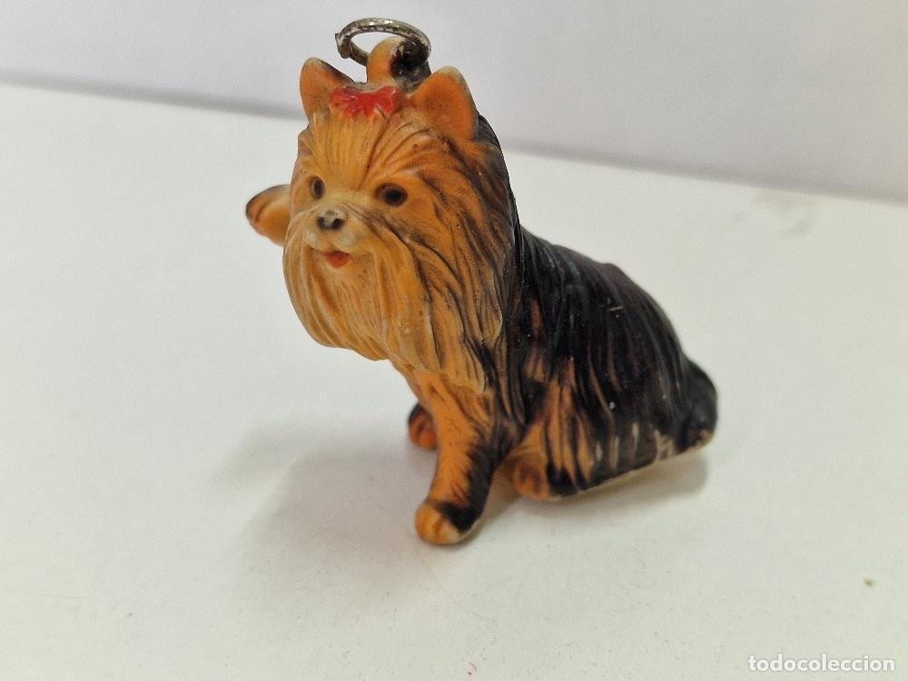 Colecionismo de Revistas e Jornais: Figura de goma: Perro de raza Yorkshire - NULL