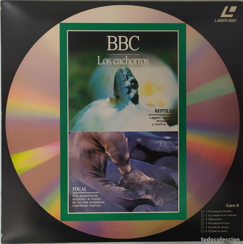 Coleccionismo de Revistas y Peri&oacute;dicos: Laser Disc: BBC 20: Los cachorros - BBC