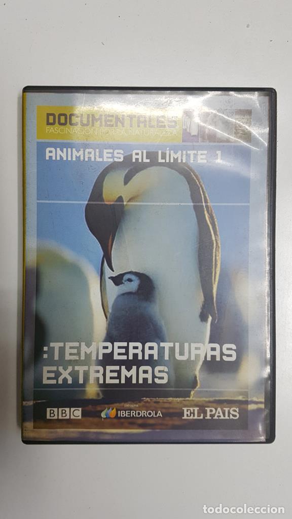 Collectionnisme de Revues et Journaux: DVD: Temperaturas extremas - animales al limite num 1. Documentales fascinacion por la naturaleza. B