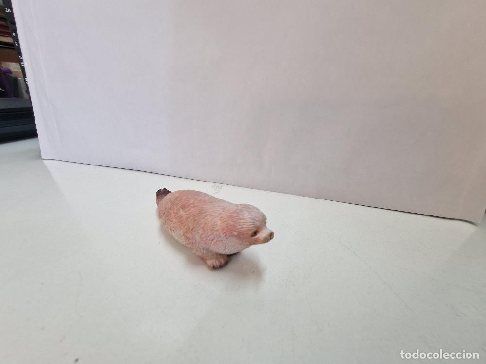 Collectionnisme de Revues et Journaux: Figura Pvc: foca - NULL