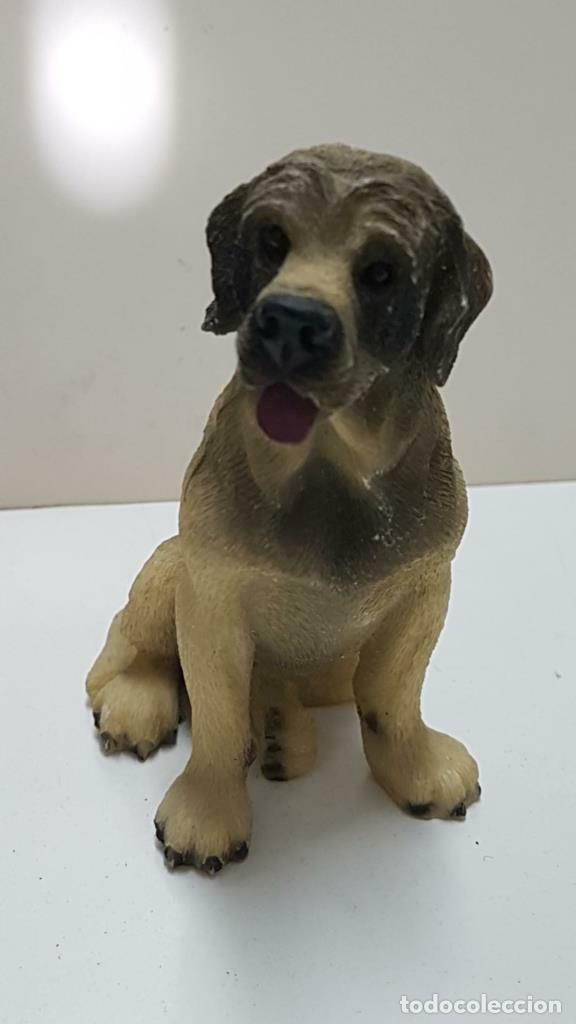 Collectionnisme de Revues et Journaux: Figura perro de resina: Labrador de 9x6 cm - NULL