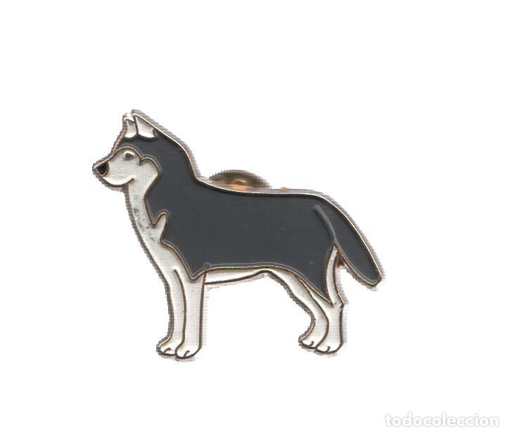 Coleccionismo de Revistas y Peri&oacute;dicos: PIN: Animales: PERRO - ALASKAN MALAMUTE