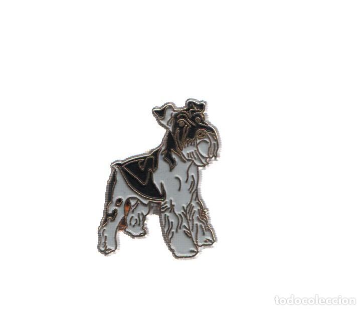 Coleccionismo de Revistas y Peri&oacute;dicos: PIN: Animales: PERRO - SCHNAUZER