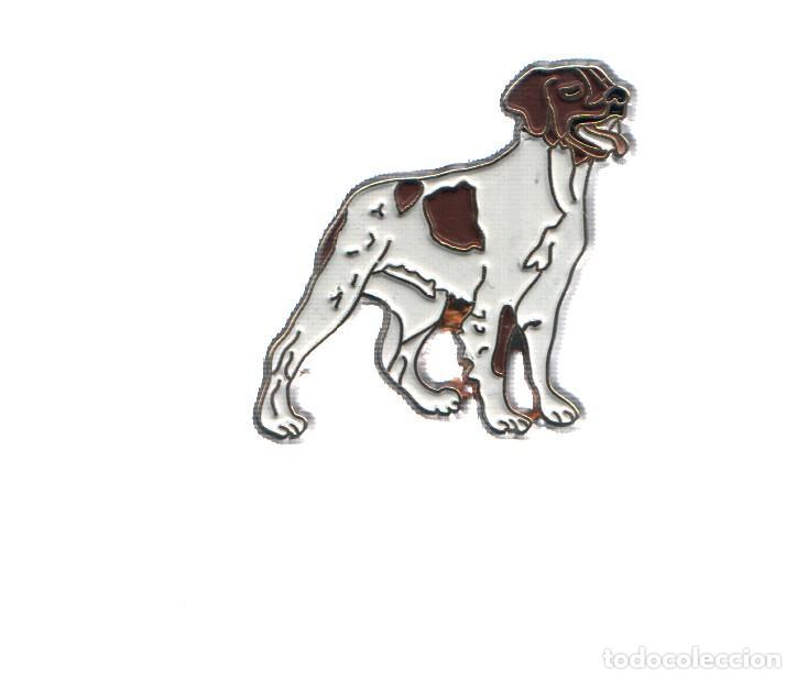 Sammeln von Zeitschriften und Zeitungen: PIN: Animales: PERRO - BRETON ESPA&Ntilde;OL