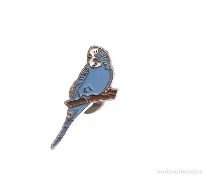 Sammeln von Zeitschriften und Zeitungen: PIN: Animales: PAJARO - PERIQUITO AZUL