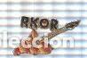 Colecionismo de Revistas e Jornais: Pin: Rkor, emisora de radio de Granollers. Guitarra con forma y colores de la comunidad de Catalunya
