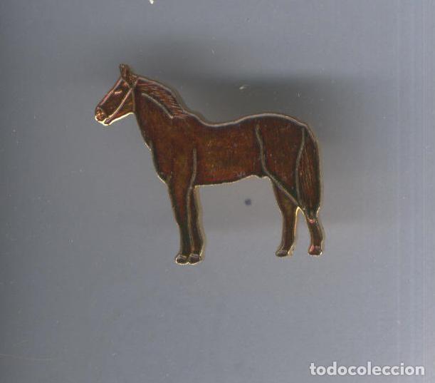 Collection Magazines and Newspapers: Pins metal: Caballo - Varios