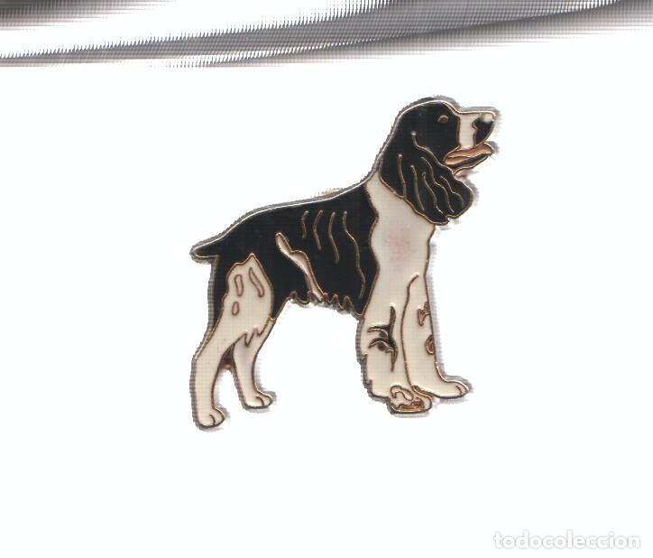 Collection Magazines and Newspapers: PIN: Animales: PERRO - COCKER SPANIEL