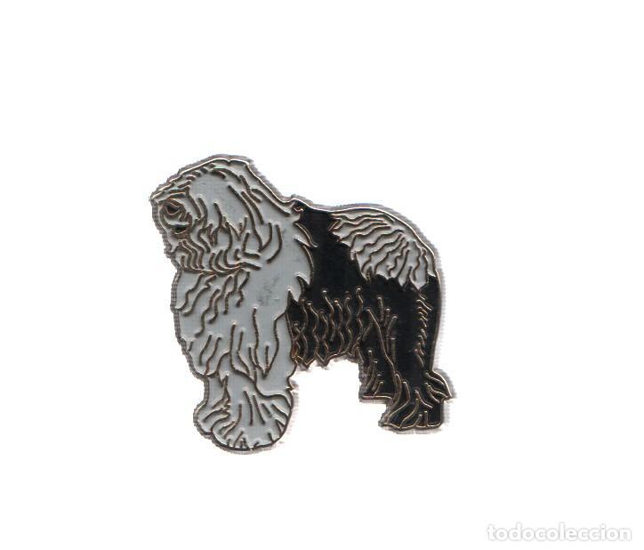 Collection Magazines and Newspapers: PIN: Animales: PERRO - BOBTAIL