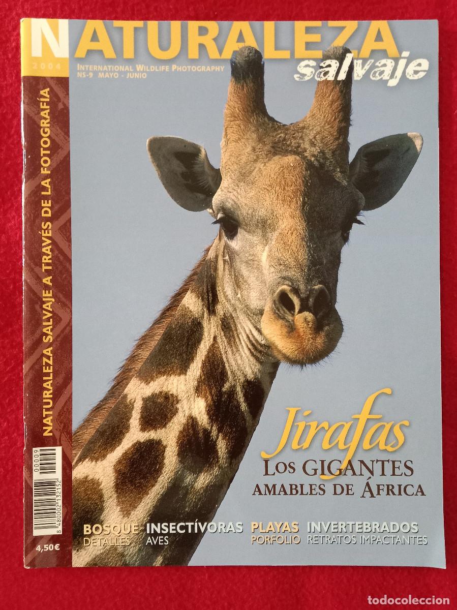 Coleccionismo de Revistas y Peri&oacute;dicos: Naturaleza Salvaje - Jirafas, Los Gigantes Amables de &Aacute;frica - Mayo/Junio. 2004