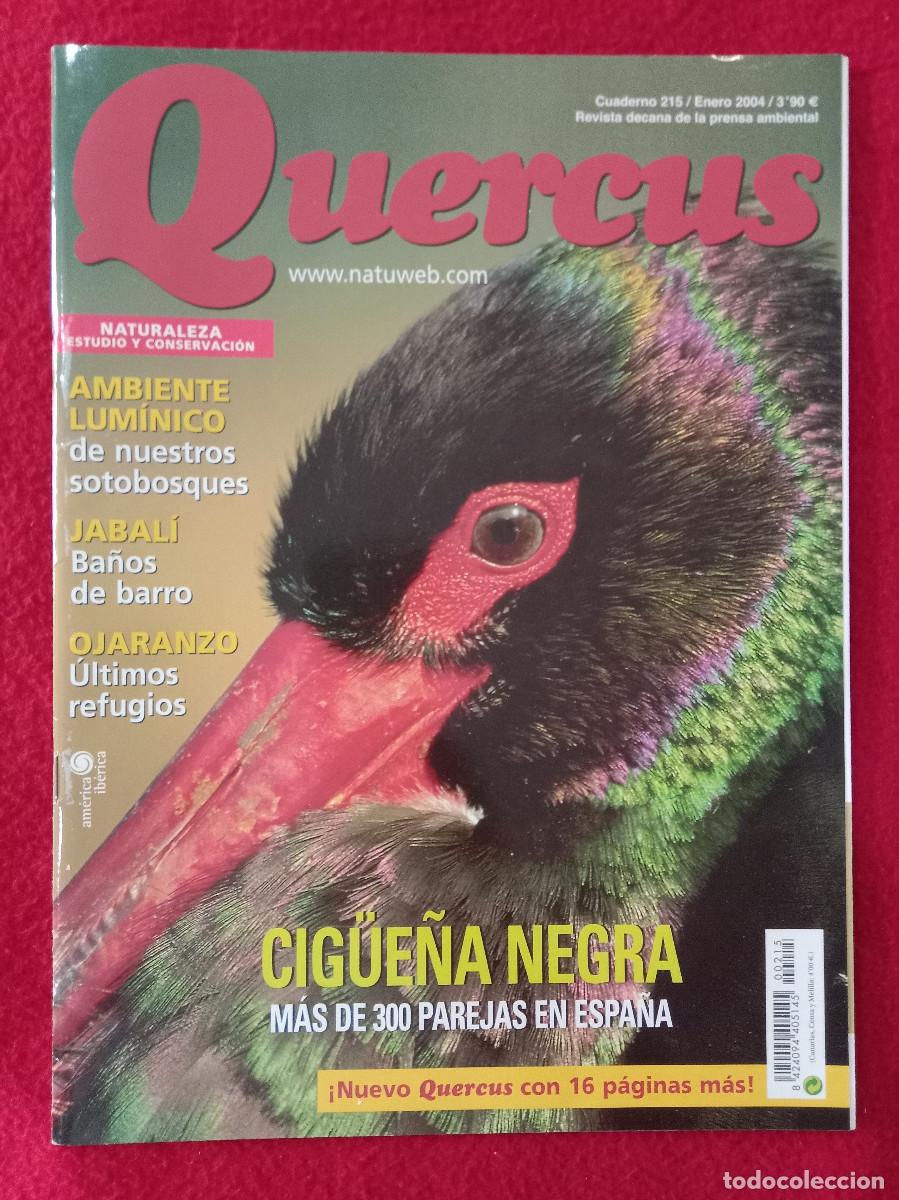 Coleccionismo de Revistas y Peri&oacute;dicos: Quercus - Cig&uuml;e&ntilde;a Negra, mas de 300 parejas en Espa&ntilde;a - Cuaderno 215 - Enero de 2004