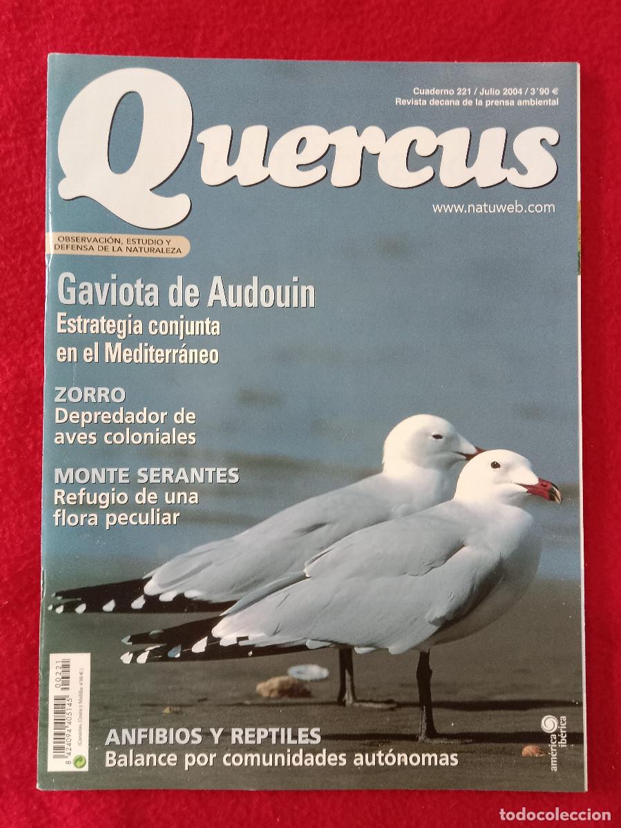 Coleccionismo de Revistas y Peri&oacute;dicos: Quercus - Gaviota de Audouin, Estrategia Conjunta en el Mediterr&aacute;neo - Cuaderno 221 - Julio de 2004