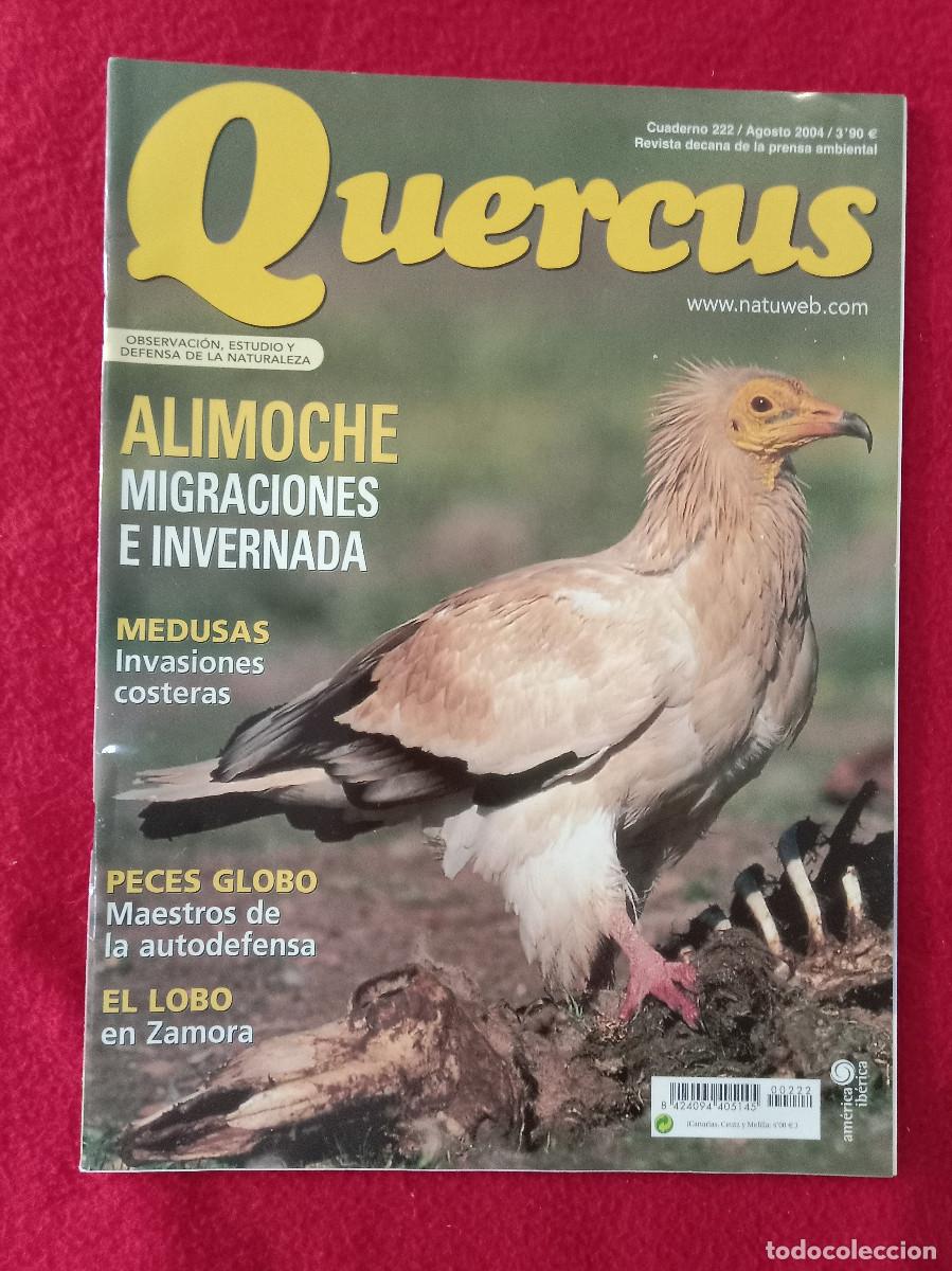 Coleccionismo de Revistas y Peri&oacute;dicos: Quercus - Alimoche, Migraciones e Invernada - Cuaderno 222 - Agosto de 2004