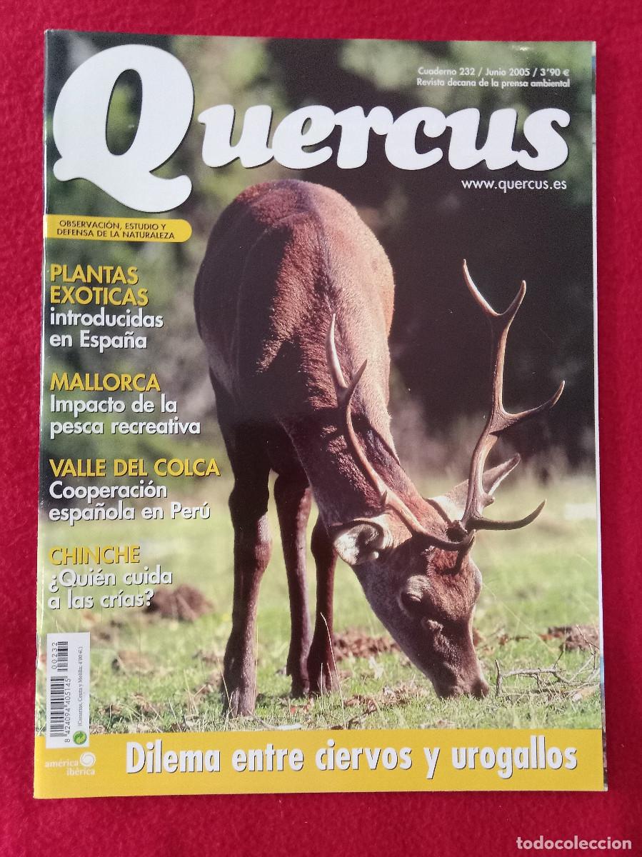 Coleccionismo de Revistas y Peri&oacute;dicos: Quercus - Dilema entre Ciervos y Urogallos - Cuaderno 232 - Agosto de 2005