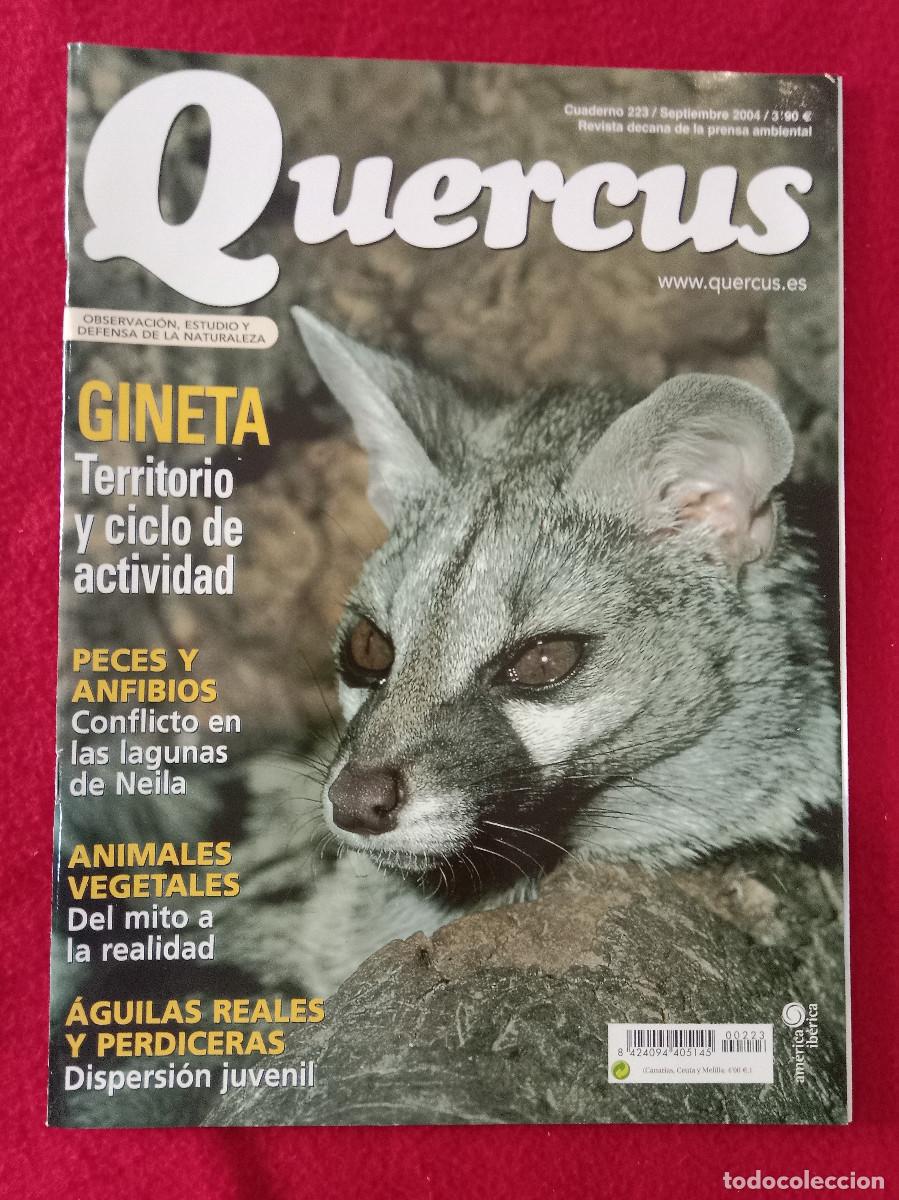 Coleccionismo de Revistas y Peri&oacute;dicos: Quercus - Gineta, territorio y ciclo de actividad - Cuaderno 223 - Septiembre de 2004