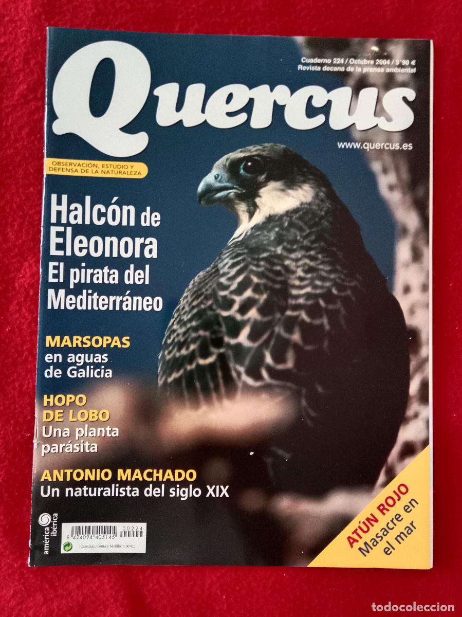 Coleccionismo de Revistas y Peri&oacute;dicos: Quercus - Halc&oacute;n de Eleonora, el pirata de Mediterr&aacute;neo - Cuaderno 224 - Octubre de 2004